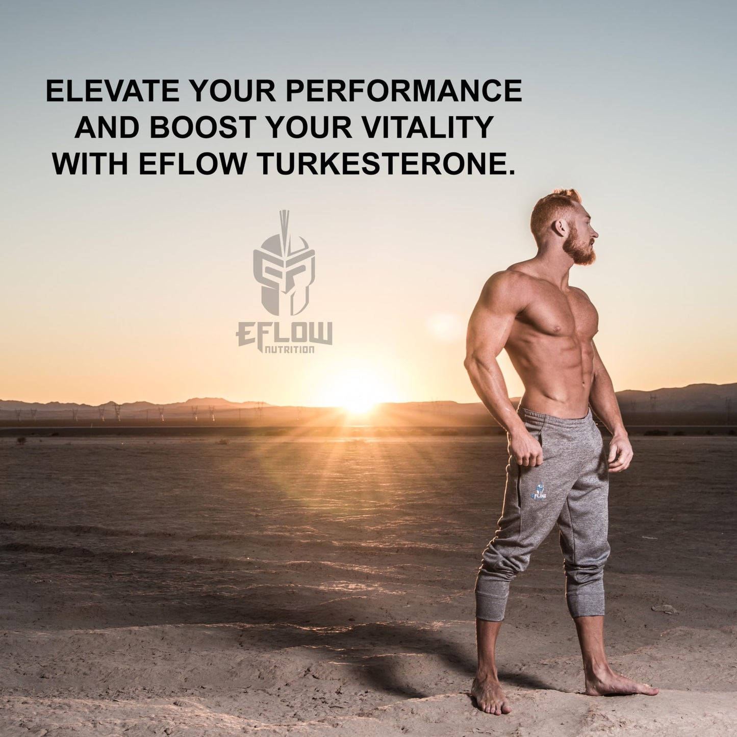 eFlow Nutrition Turkesterone Supplement for Men – Highest Purity, Cyclodextrin Absorption, 60 Capsules