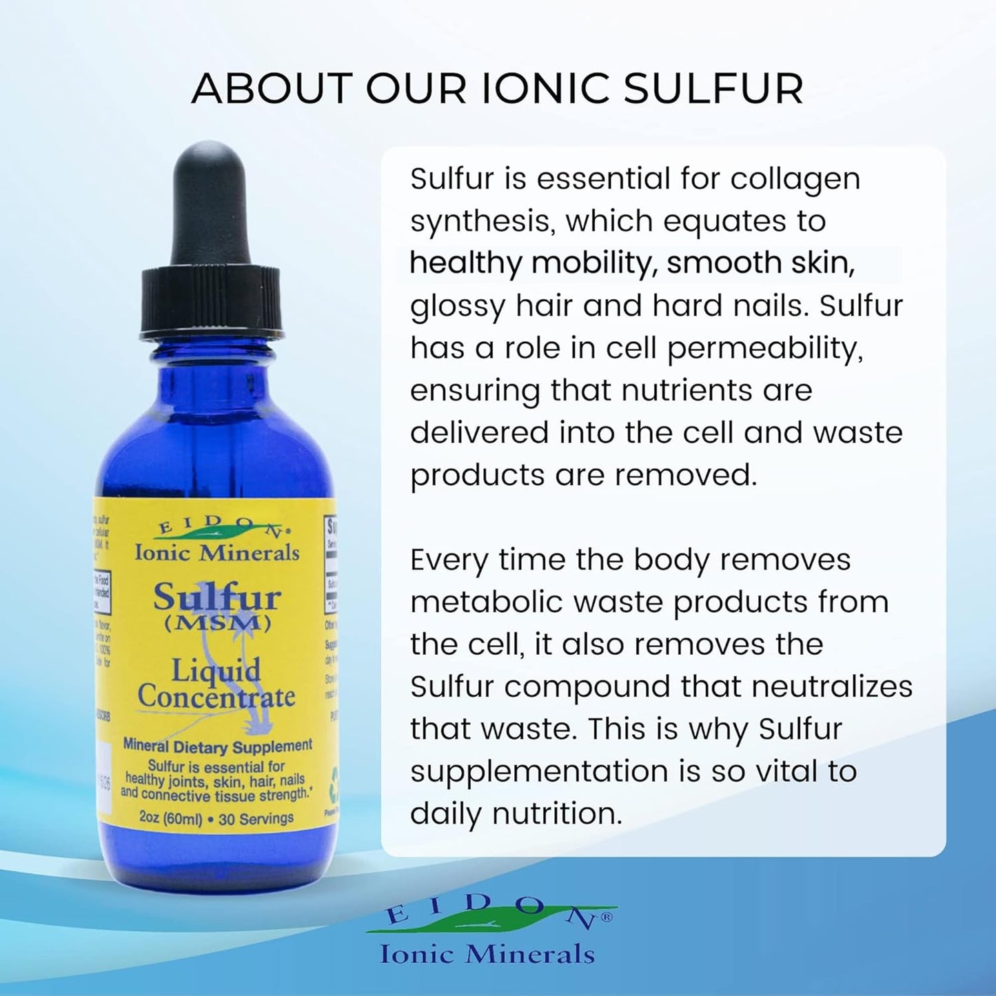Eidon Ionic Minerals Liquid Sulfur Drops 2oz – Skin & Hair Support