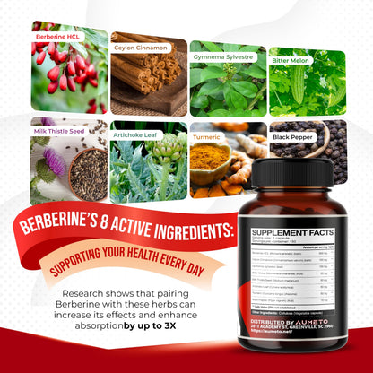 8 in 1 Berberine Supplement - Aumeto | Supports Digestion & Immunity (150-Day Supply)