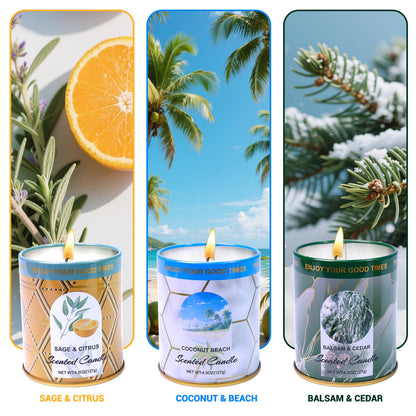 Sage & Citrus, Coconut Beach, Balsam & Cedar 3-Pack Aromatherapy Candle Sets | 8% Essential Oil, 75H Long Burning Soy Wax Scented Candle for Relaxation, Sleep Smoke-Free | Gift for Women and Men