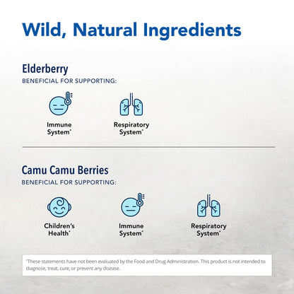 Elder-C Elderberry Concentrate 60 Caps - Immune Support - Oreganol P73 - Non-GMO & Gluten Free