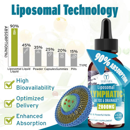 Liposomal Lymphatic Drops – Herbal Blend with Elderberry & Echinacea – 4 FL OZ