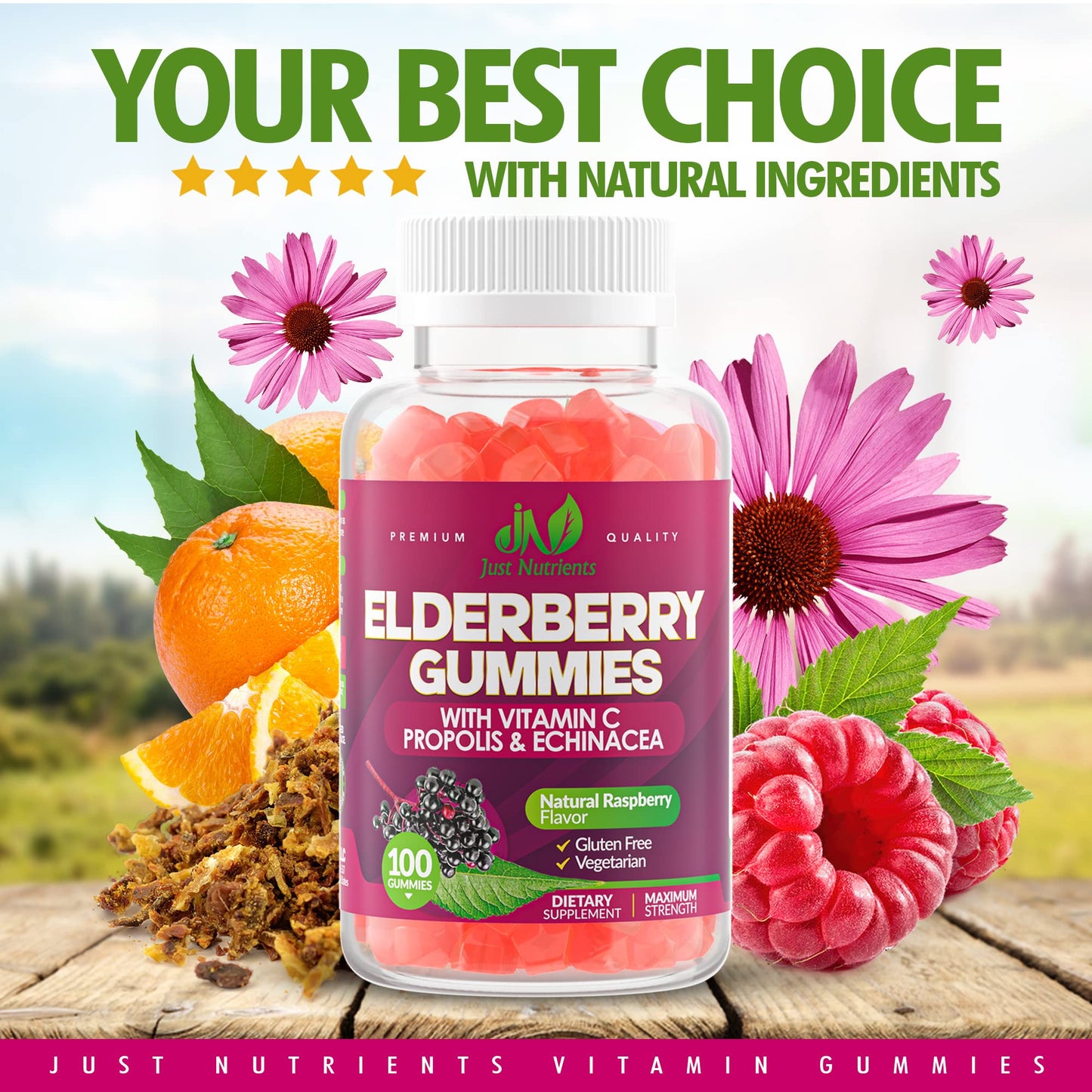 Elderberry Gummies with Vitamin C, Echinacea & Propolis - 100 Count