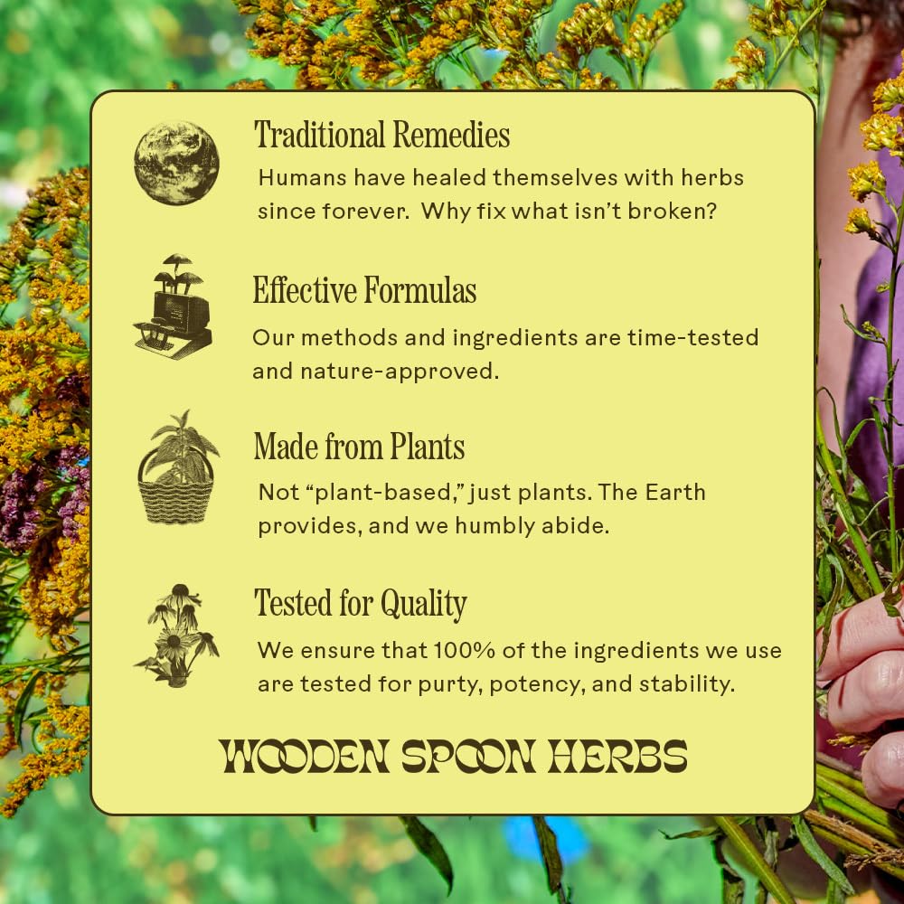 Wooden Spoon Herbs Elderberry Syrup – USDA Organic Lung & Immune Support | 8 fl oz