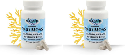 Elderwise Sea Moss Capsules 1400 mg - Burdockroot & Bladderwrack (Pack of 2)