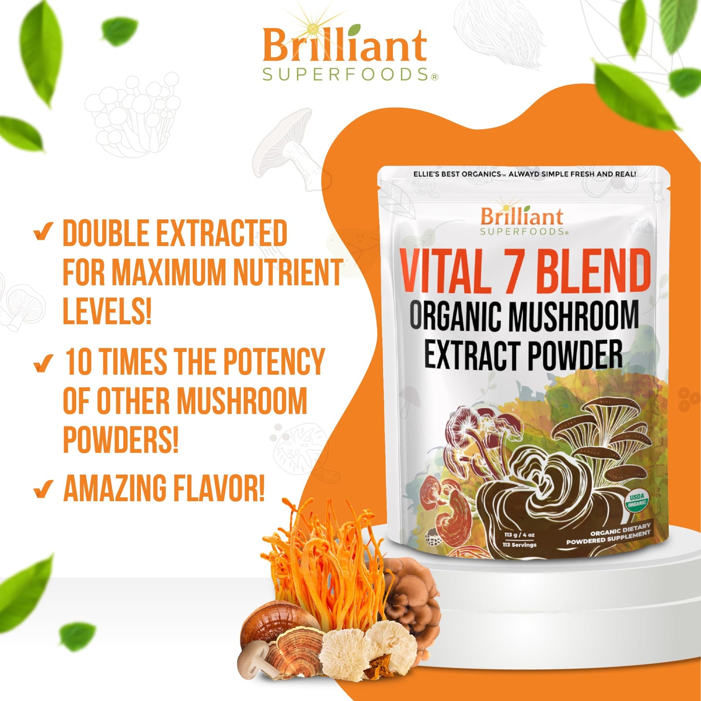 Ellie's Best 7 Mushroom Powder Extract Blend – Organic Reishi, Lion's Mane, Chaga, Turkey Tail, Cordyceps, Maitake & Shiitake – Double Extracted – 16oz / 456 Servings