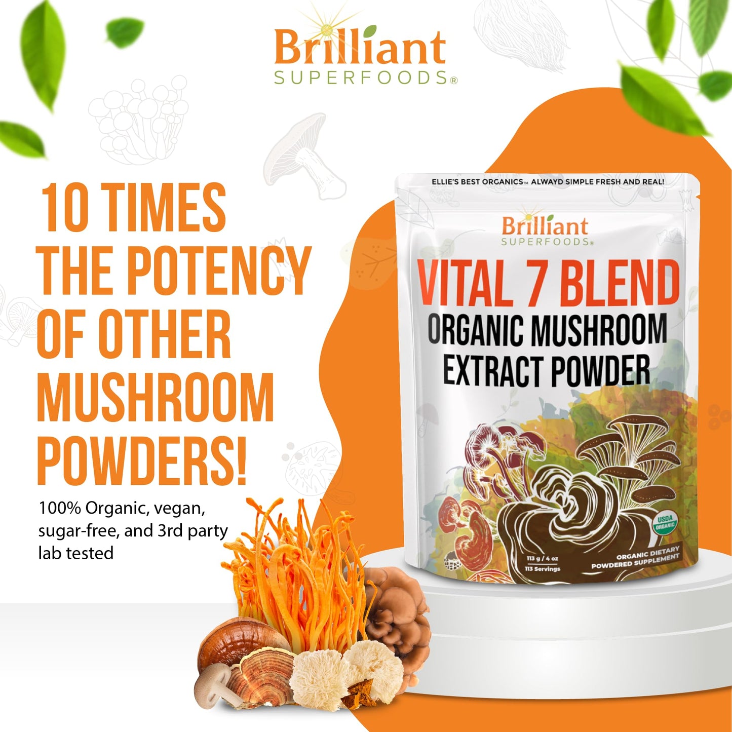 Ellie's Best 7 Mushroom Powder Extract Blend – Organic Reishi, Lion's Mane, Chaga, Turkey Tail, Cordyceps, Maitake & Shiitake – Double Extracted – 16oz / 456 Servings