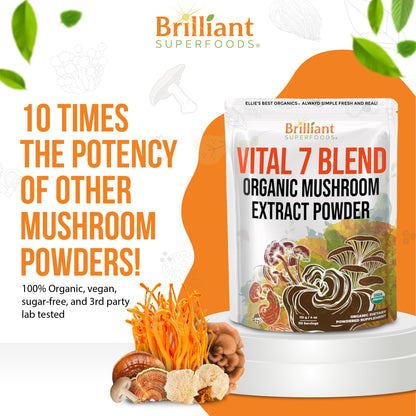 Ellie's Best 7 Mushroom Powder Extract Blend – Organic Reishi, Lion's Mane, Chaga, Turkey Tail, Cordyceps, Maitake & Shiitake – Double Extracted – 16oz / 456 Servings
