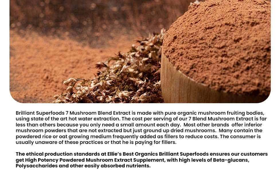 Ellie's Best 7 Mushroom Powder Extract Blend Supplement Organic 114 Servings High Potency Double Extracted Cordyceps, Reishi, Turkey Tail, Chaga, Lion's Mane - 4oz