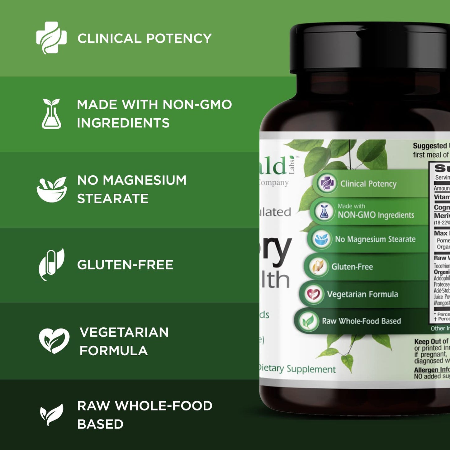 EMERALD LABS Memory Health – Brain Health & Memory Supplement with Meriva Turmeric, Vitamin B12 & More | 60 Veg Capsules