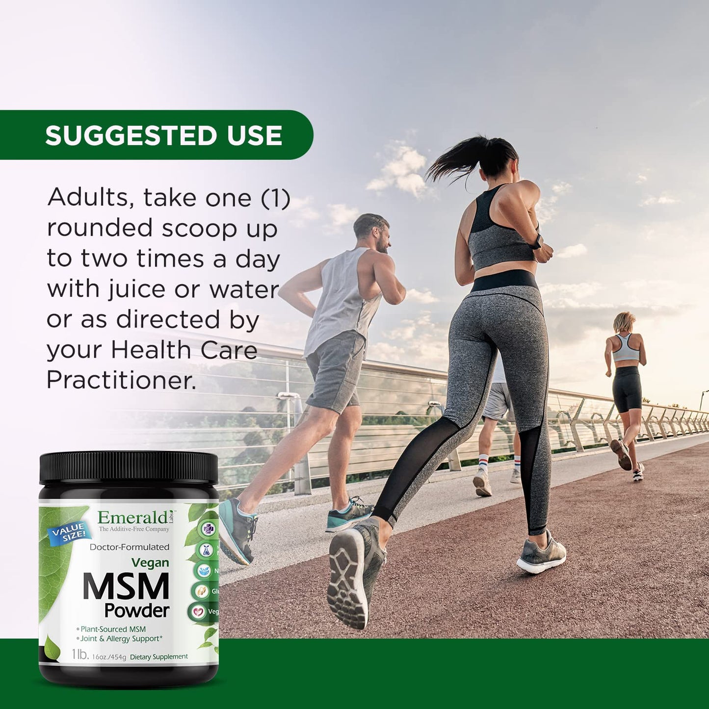 Emerald Labs MSM Powder – Plant-Sourced 4000mg per Serving, Vegan & Gluten-Free – 16 oz (Pack of 2)