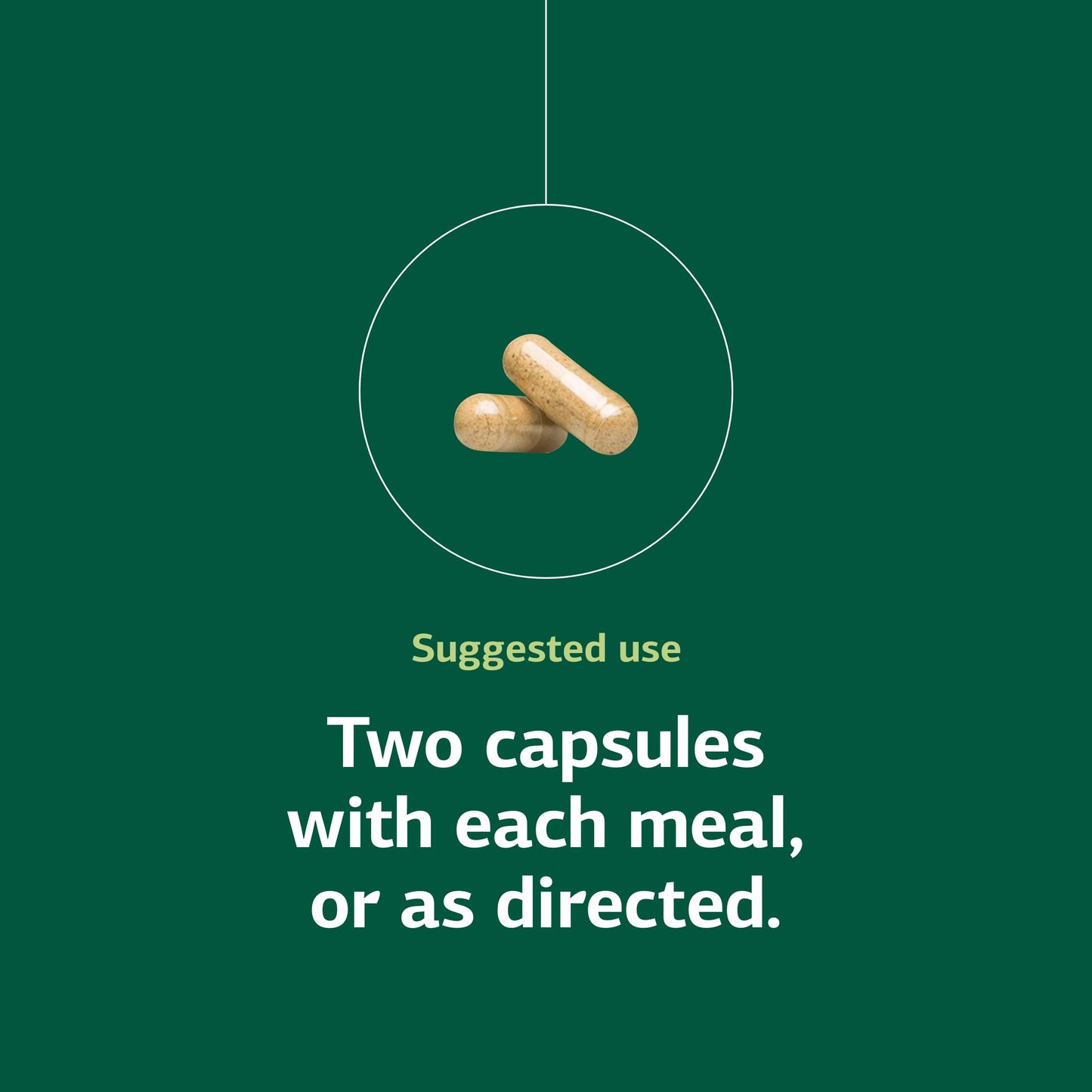 Standard Process Emphaplex | Respiratory Support & Cellular Energy – 90 Capsules (45 Servings)