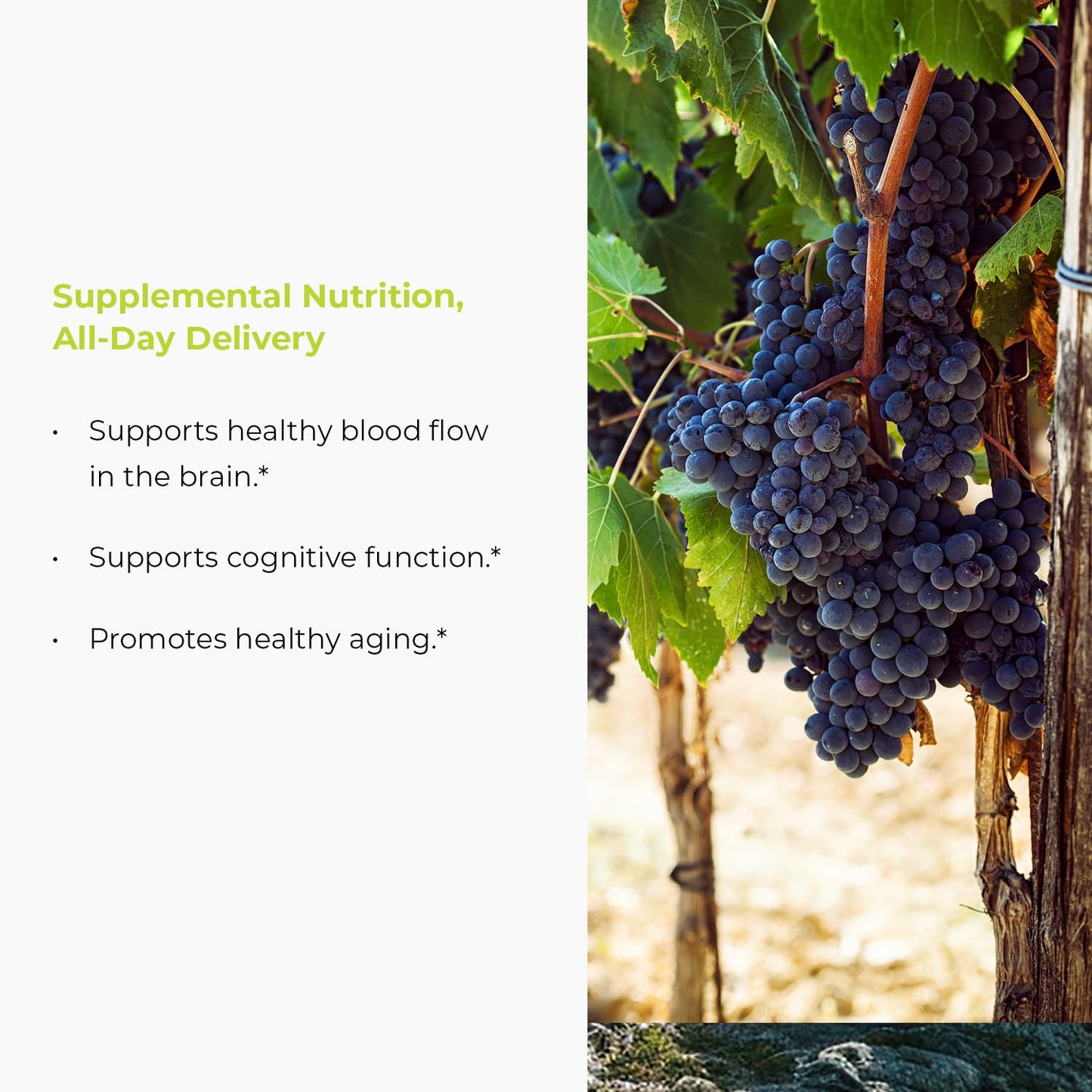 Endur Resveratrol 100mg – Healthy Aging & Cardiovascular Support (Gluten Free, 150 Tablets)