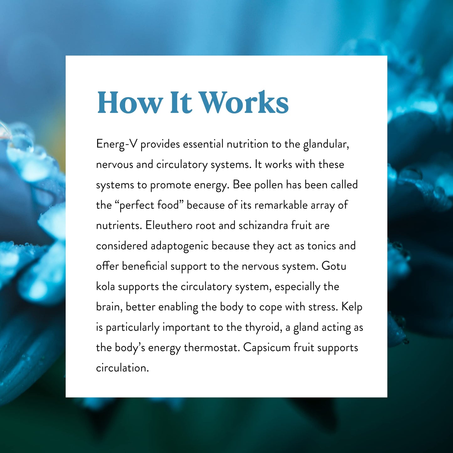 Nature's Sunshine Energ-V 100 Capsules - Natural Energy Support