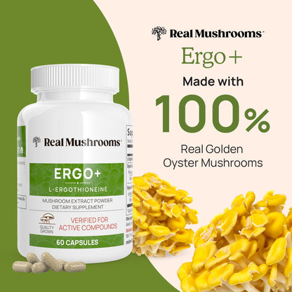 Real Mushrooms Ergothioneine Supplement – Golden Oyster Mushroom Extract, 60 Capsules – Organic, Vegan, Non-GMO