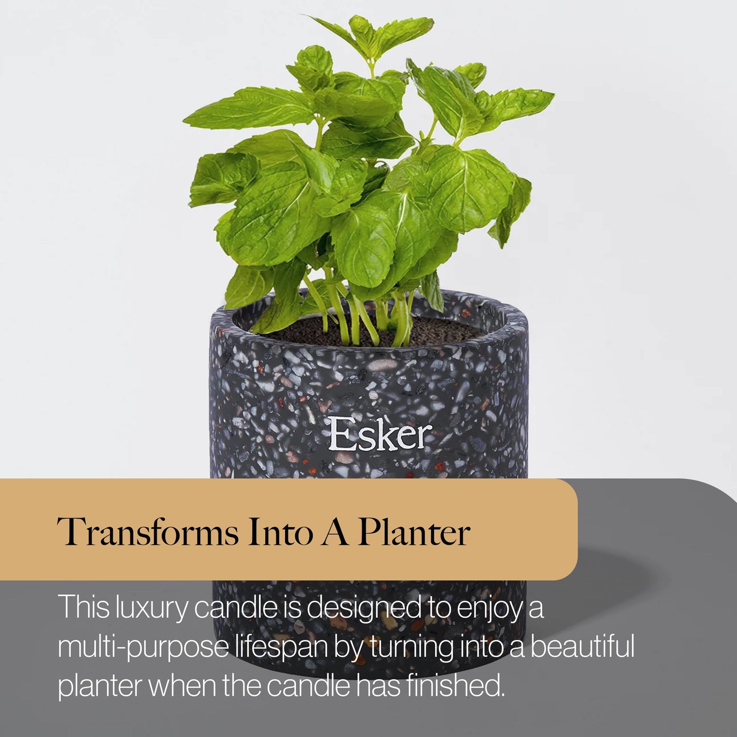 ESKER Travertine Plantable Candle – Hand-Poured Soy Wax & Reusable Ceramic Planter