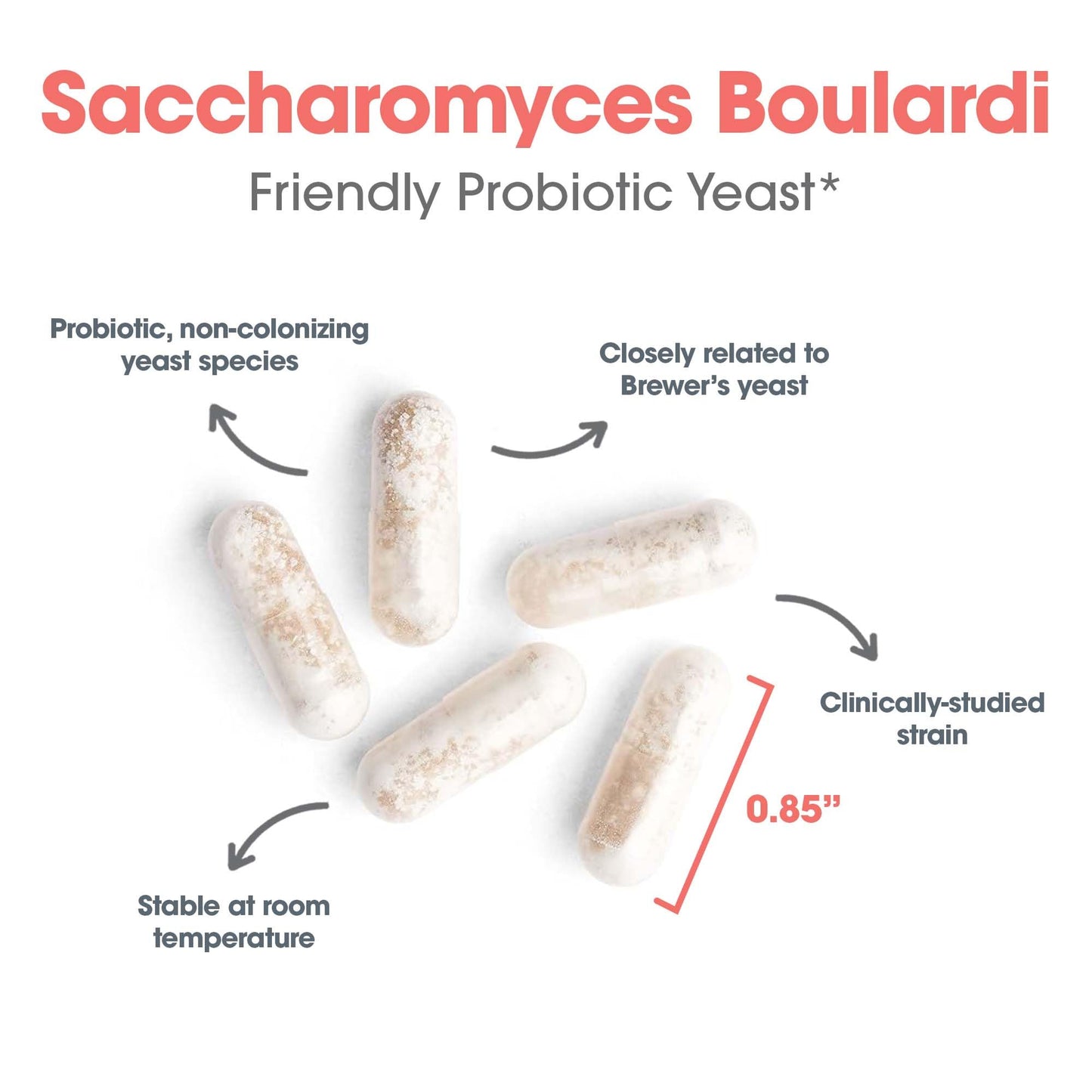Allergy Research Group Essential-Biotic Saccharomyces boulardii 450 mg Probiotic Supplement – 60 Count