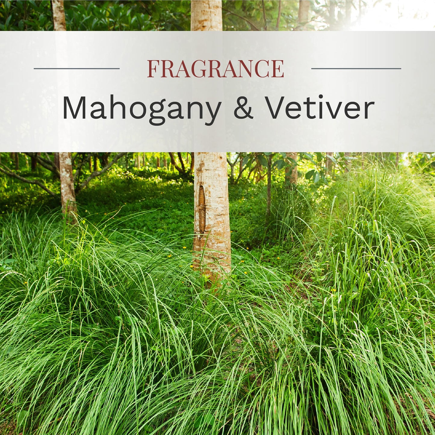 Essential Elements by Candle-lite – Mahogany & Vetiver Three-Wick Aromatherapy Candle (14.75 oz)
