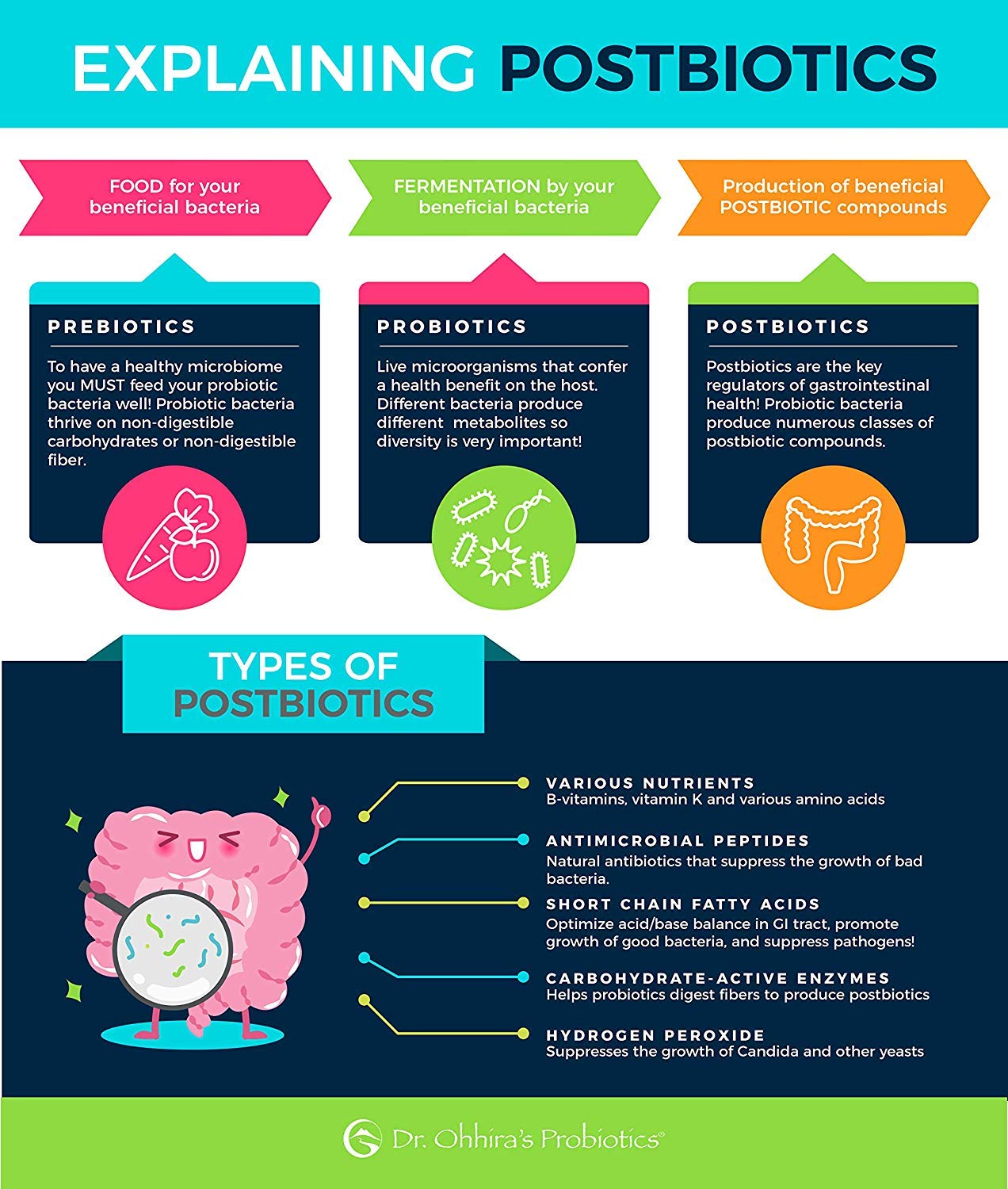 Dr. Ohhira's Probiotics Professional Formula - 120 Capsules, Postbiotic Metabolites