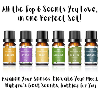 Essential Oils for Laundry - 100% Pure Therapeutic Grade Top 6