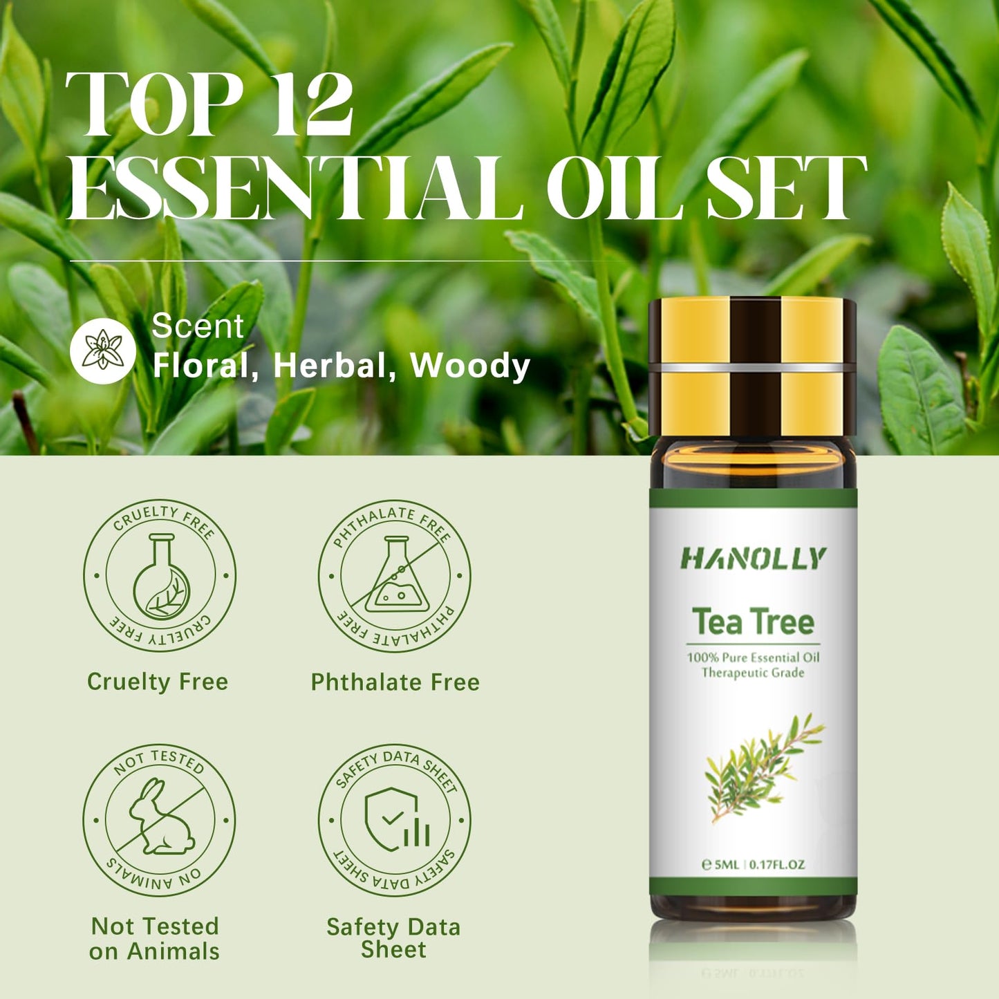 Essential Oils Set - 24x5ml Premium Aromatherapy Kit for Diffuser & Skincare