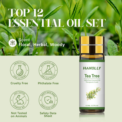 Essential Oils Set - 24x5ml Premium Aromatherapy Kit for Diffuser & Skincare