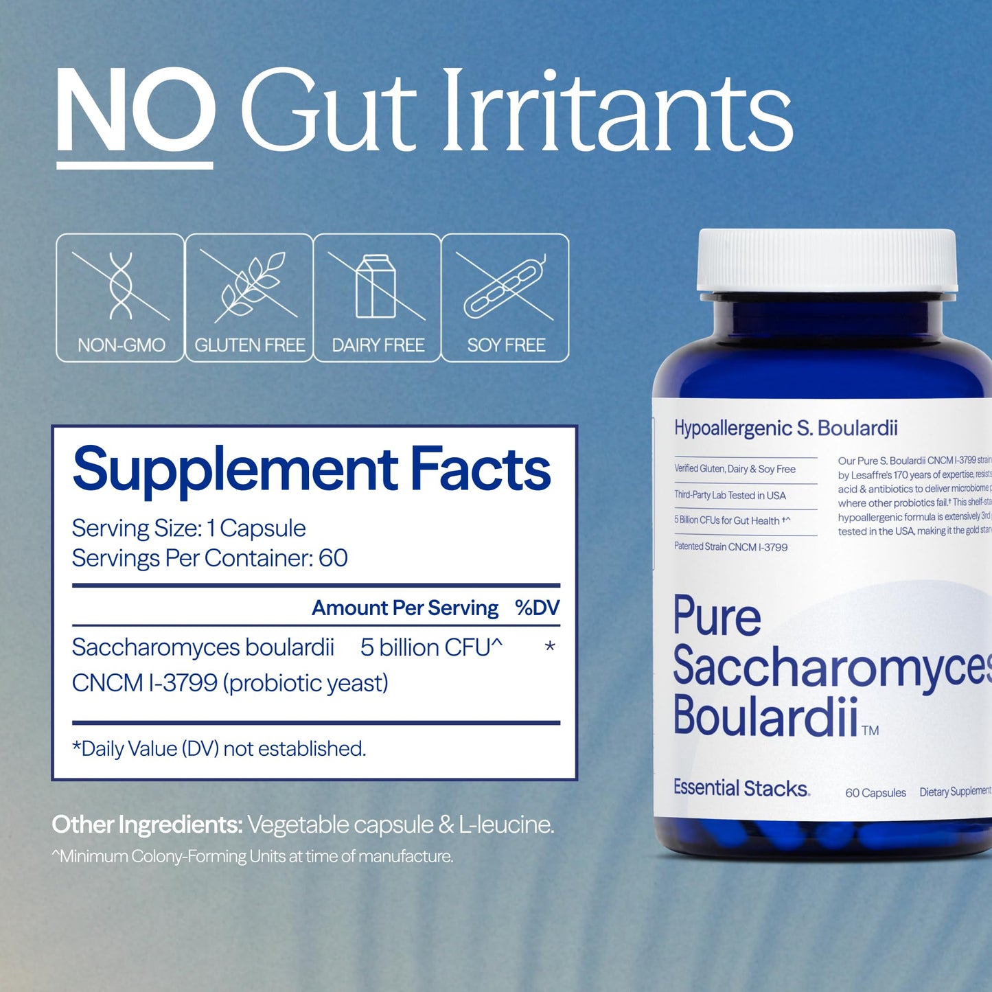 Saccharomyces Boulardii Probiotics 5B CFUs - Non-GMO, Gluten Free (60 Capsules)