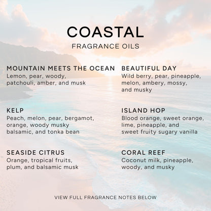 Coastal Set of 6 Premium Fragrance Oils - Eternal Essence Oils 10ml