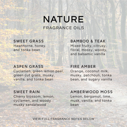 Nature Set of 6 Premium Fragrance Oils (10ml) by Eternal Essence Oils for Diffusers, Candles & Soaps