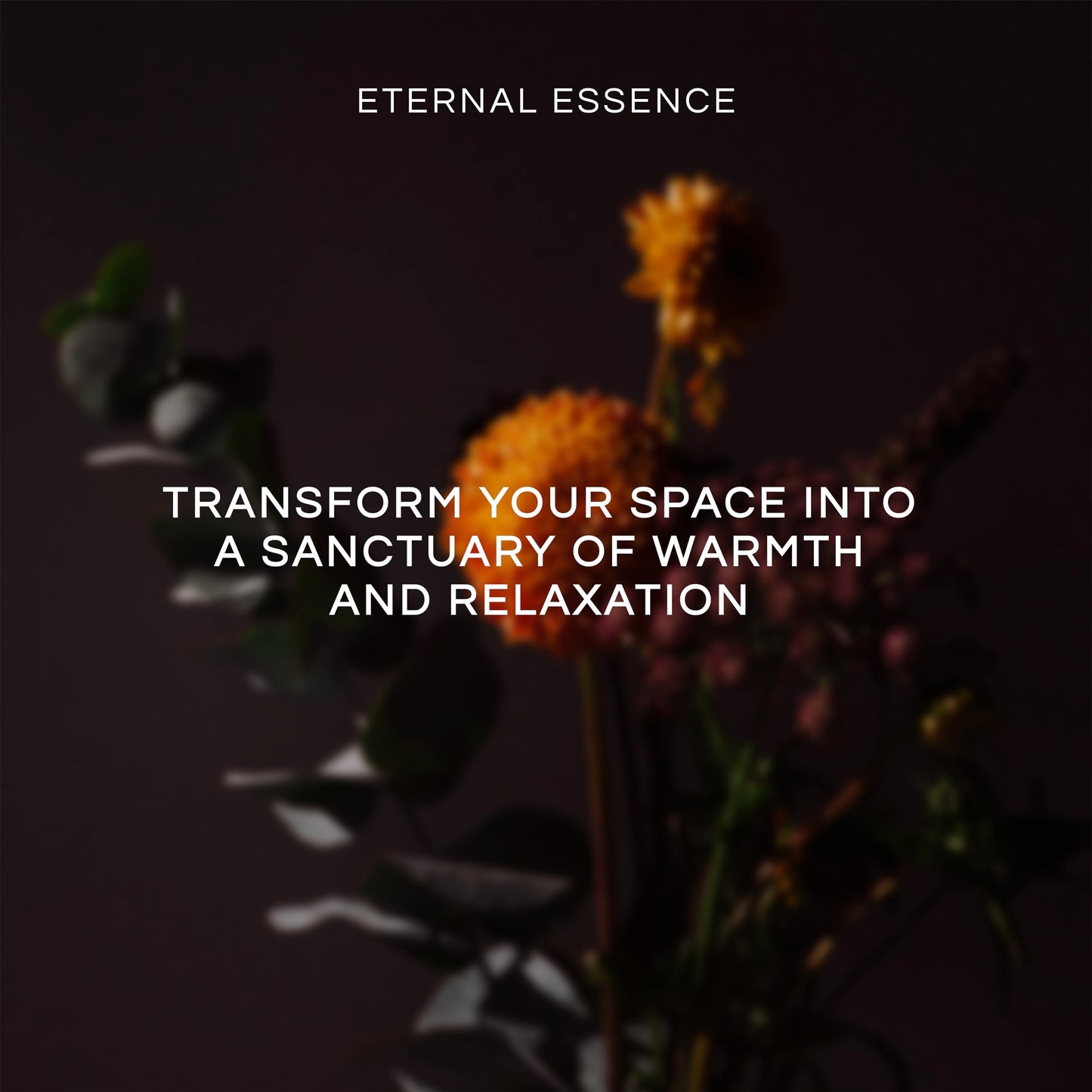 Eternal Essence Oils Sandalwood Vanilla 30ml – Premium Fragrance Oil