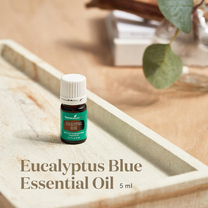 Young Living Eucalyptus Blue Essential Oil – 5 ml | Pure Botanical Extract for Diffusers & Aromatherapy