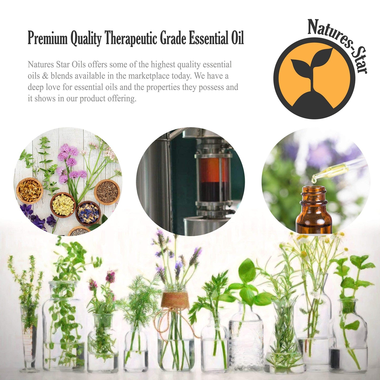 Natures-Star 16oz Eucalyptus Essential Oil – Therapeutic Grade for Candles, Diffusers, Soaps