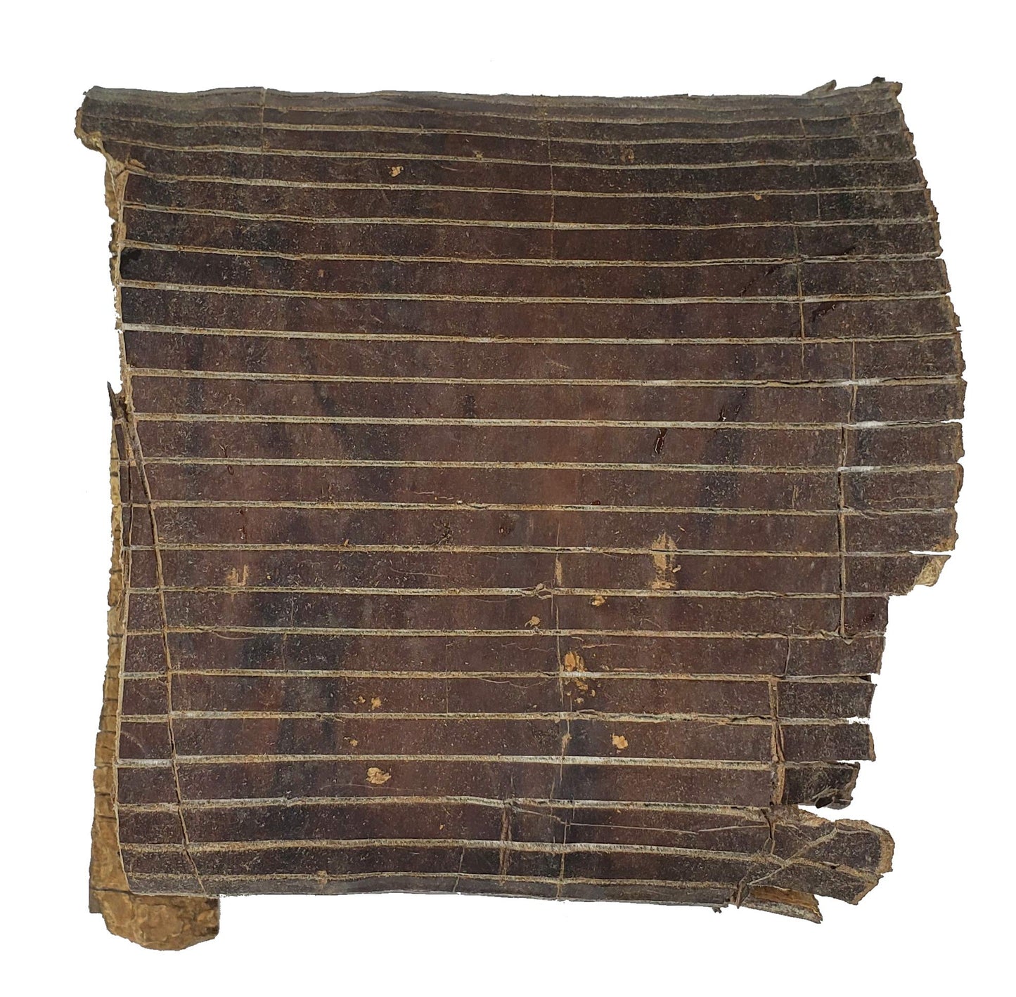 Eucommia Bark (8oz) - Premium Grade Whole Eucommia Bark | Bone Health, Energy & Vitality