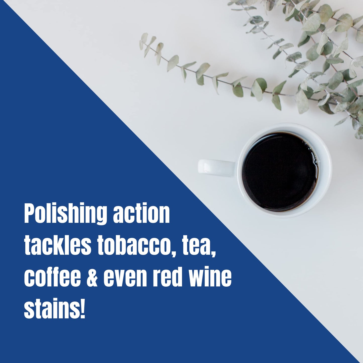 Eucryl Toothpowder Original - Powerful Stain Removal 50g