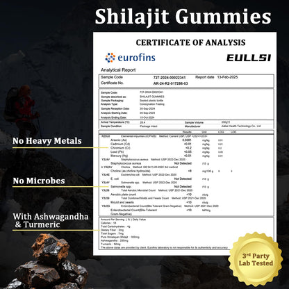 Eullsi Shilajit Gummies + Ashwagandha – 60 Count, Vegan & Non-GMO