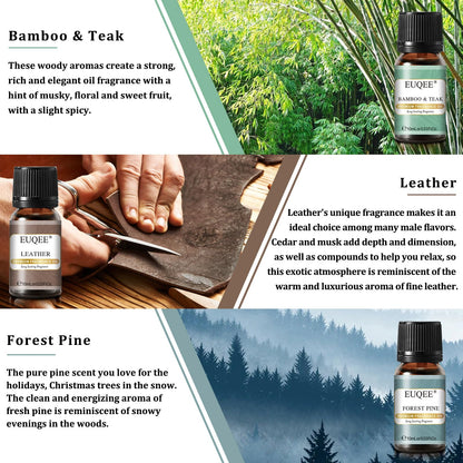 EUQEE Fragrance Oils Gift Set - Premium Woody Scents 6x10ml