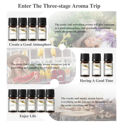 EUQEE 12pcs Fragrance Oils Gift Set – Premium Essential Oils for Diffuser & DIY