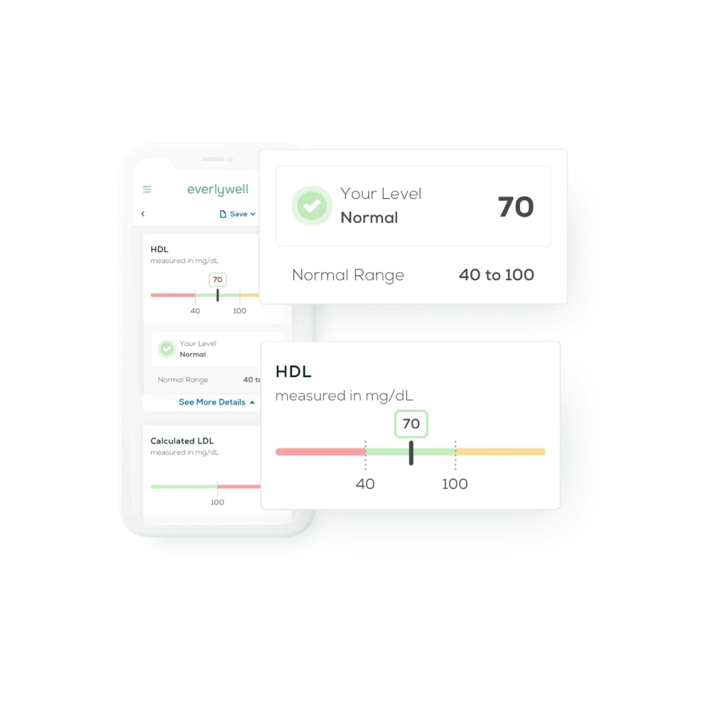Everlywell Cholesterol and Lipids Test - At-Home Collection Kit | CLIA-Certified Lab Results in Days | Ages 18+