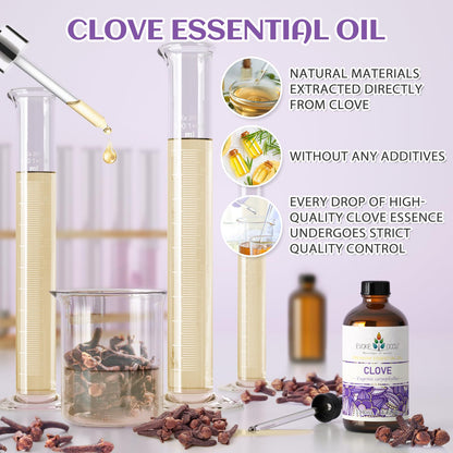 EVOKE OCCU Clove Oil for Teeth & Gums | Toothache Relief & Fresh Breath (DIY Mouthwash) – 4 Fl Oz