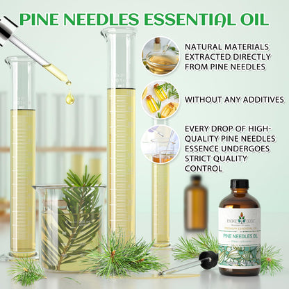 EVOKE OCCU Pine Essential Oil - Fresh Pine Scent for Diffuser, Aromatherapy (4 Fl Oz)