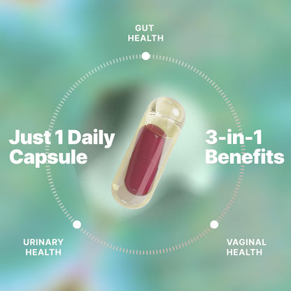 Evvy Women's 3-in-1 Complete Probiotic | Daily Gut, Urinary & Vaginal Health | 30 Day Supply