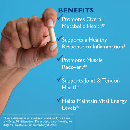 AST Enzymes Excellacor-450 Vegetarian Capsules – Premium Natural Systemic Enzyme Formula for Total Body Support
