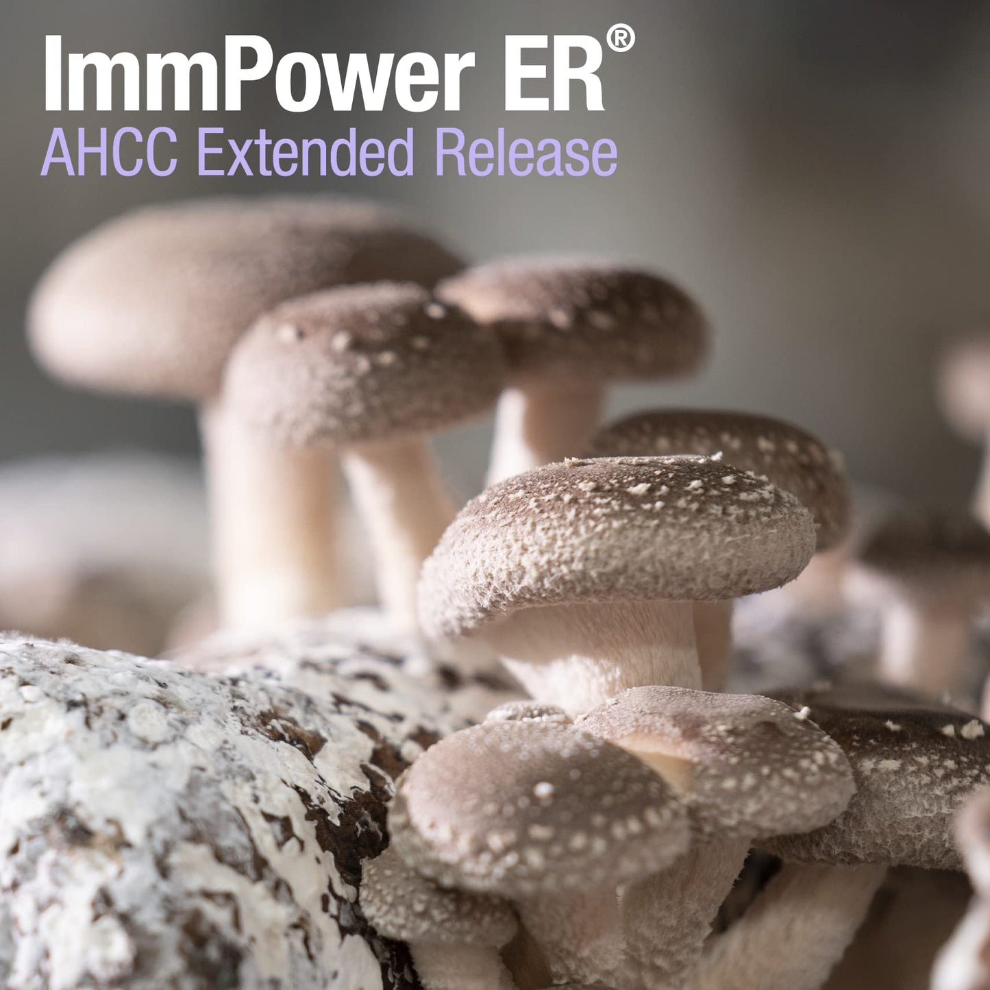 American BioSciences ImmPower ER AHCC – Extended Release Immune Support (60 Caps, 500 mg)