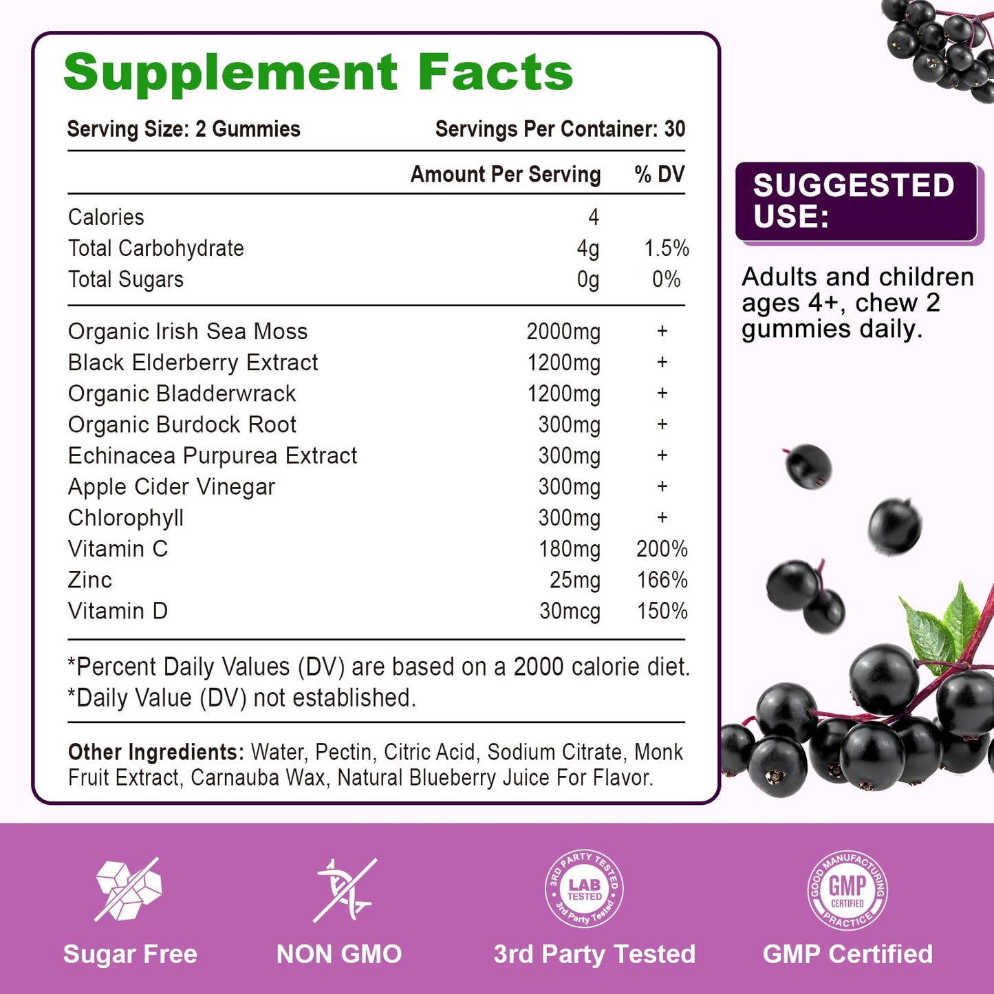 2 Pack Elderberry Gummies with Sea Moss – Extra Strength Immune Support, Vitamin C & Zinc, Blueberry Flavor, 120 Count