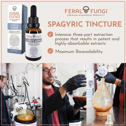 Feral Fungi Lion's Mane Tincture - 1 oz | 100% Pure USA-Grown Mushroom Extract