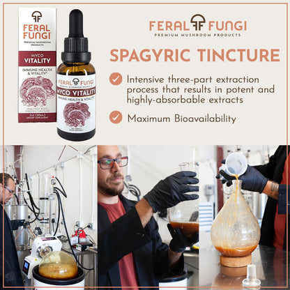 Feral Fungi Myco-Vitality Tincture – 100% Pure USA Mushroom Extract 1 oz