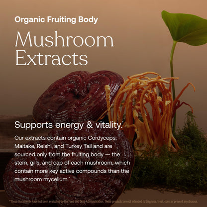 True Grace One Daily Men's Multivitamin - Fermented Minerals, Organic Adaptogens & Mushrooms