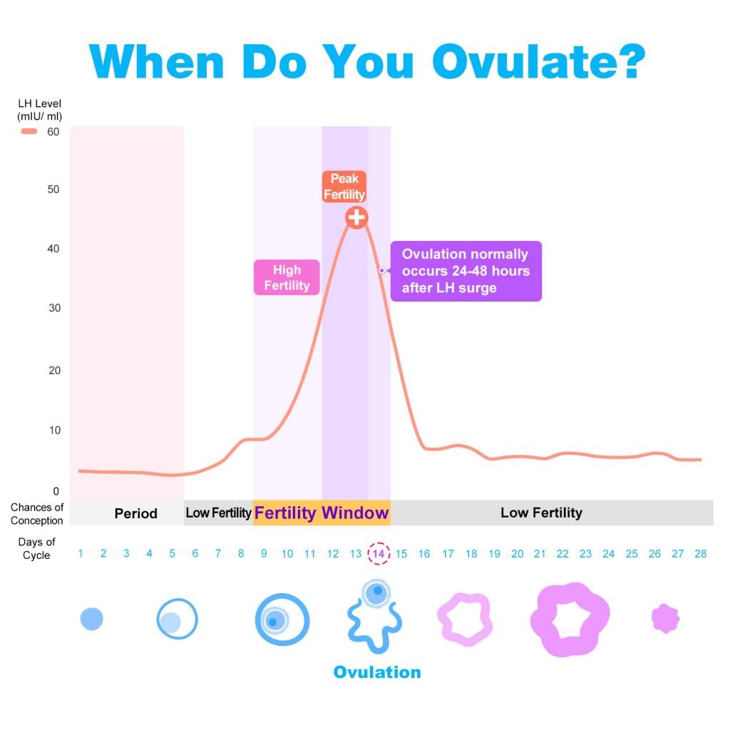 Easy@Home 100 LH Ovulation Test & 20 HCG Pregnancy Strips – Premom App Compatible, FSA Eligible