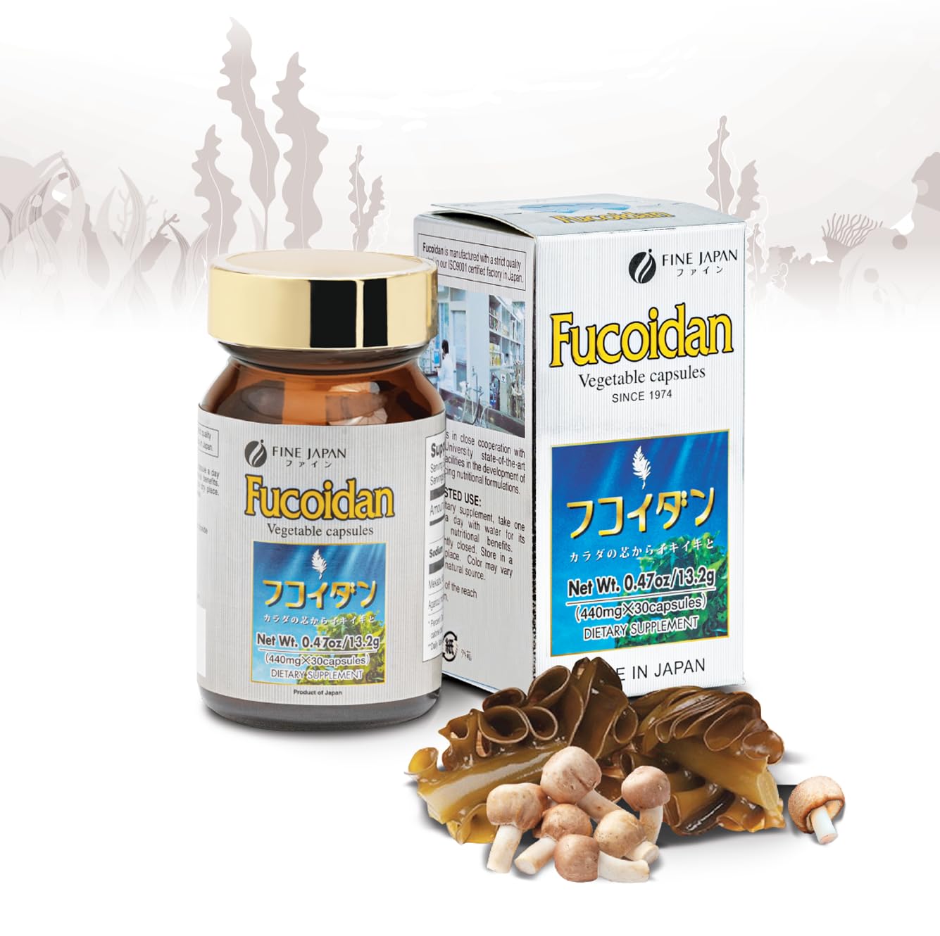 FINE JAPAN Fucoidan Capsules with Mekabu Seaweed & Agaricus Mushroom – 30 Capsules – Immune Support – Made in Japan
