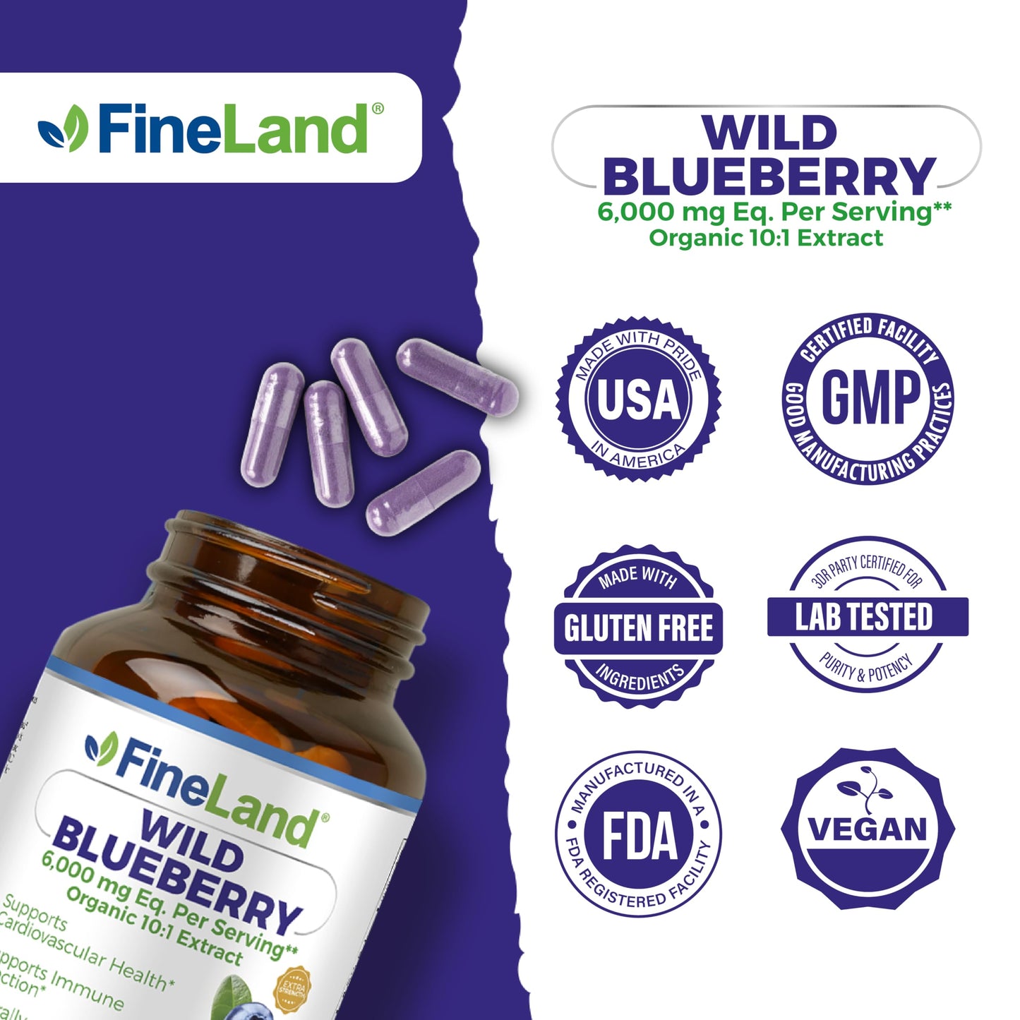FineLand Wild Blueberry 10:1 Extract – 6,000 mg/Serving, 120 Vegan Capsules | Non-GMO, Made in USA